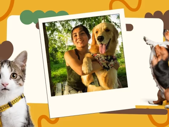 Trusted GPS Collars With Geofencing Pet Owners Love